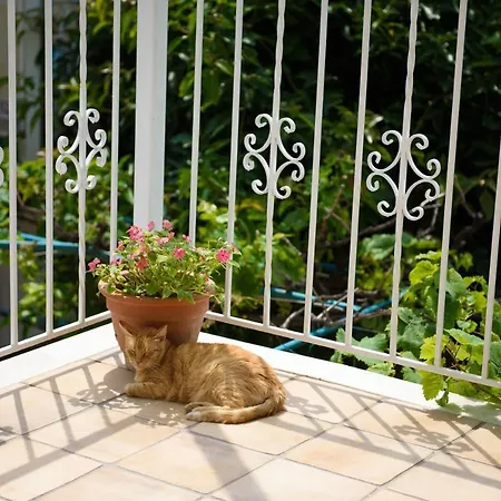 Sebastian's - Garden Sea View Appartement Agios Gordios (Corfu)