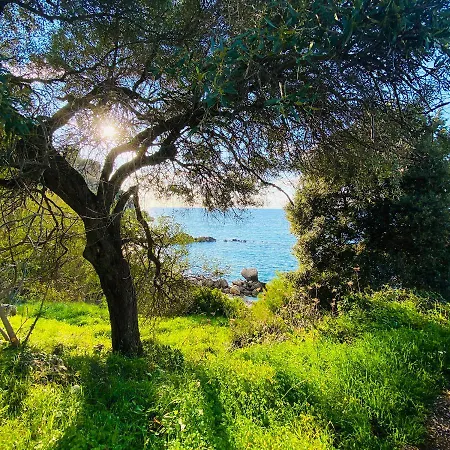 Sebastian's - Garden Sea View Appartement Agios Gordios (Corfu)